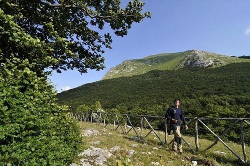 Appartamento Il Grillo Fossato di Vico Room photo